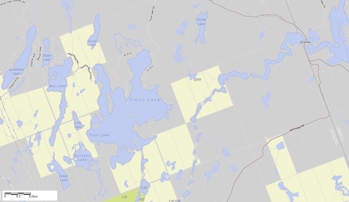 Crown Land Map of Trout Lake in Municipality of McDougall and the District of Parry Sound